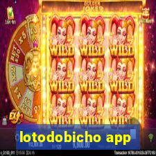 lotodobicho app